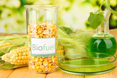 Burton biofuel availability