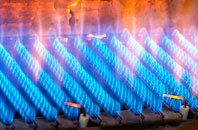 Burton gas fired boilers
